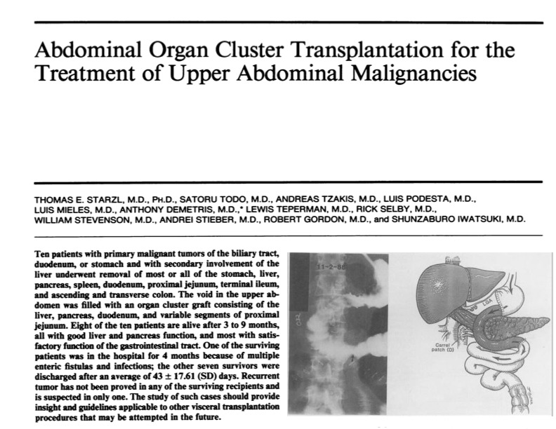 кластерные трансплантации.jpg